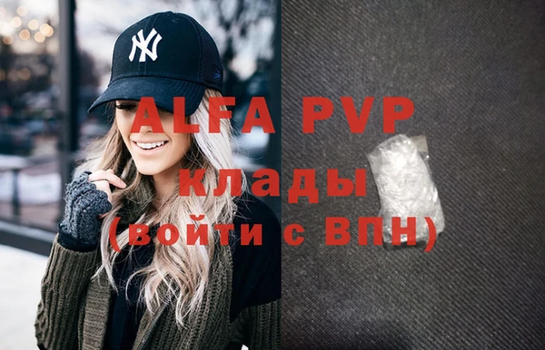 хмурый Гусев