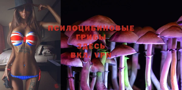 COCAINE Гусиноозёрск
