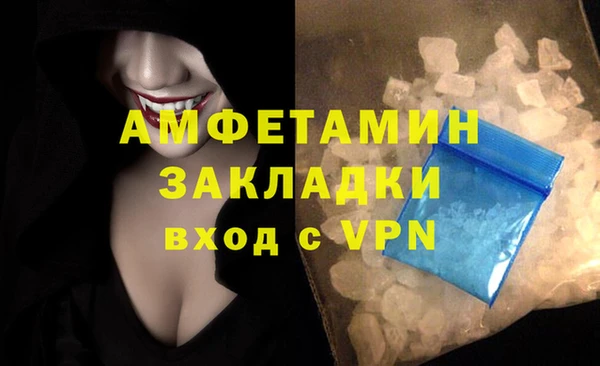 гидра Гусь-Хрустальный