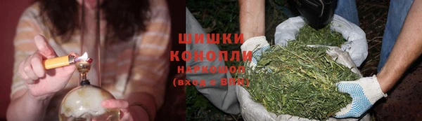 гидра Гусь-Хрустальный