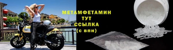 хмурый Сосновый Бор