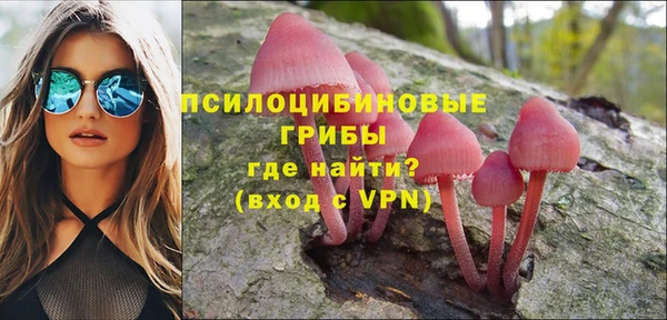 COCAINE Гусиноозёрск