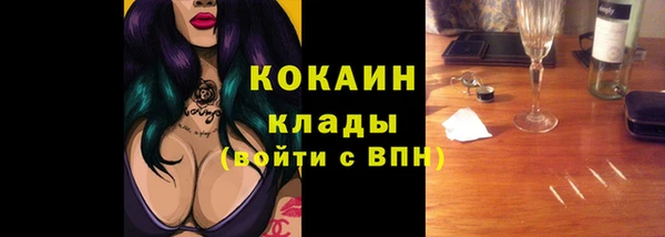 хмурый Гусев