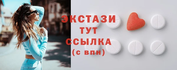 гидра Гусь-Хрустальный