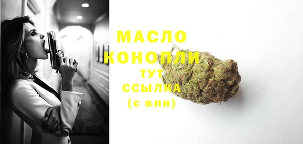 гидра Гусь-Хрустальный