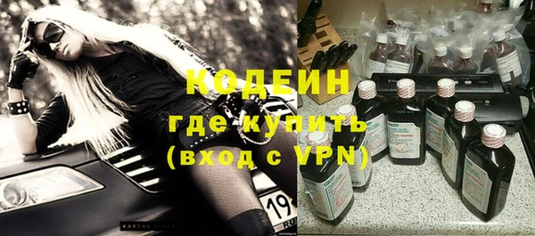 хмурый Гусев