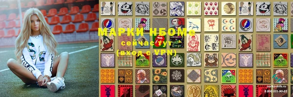 гидра Гусь-Хрустальный