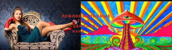 хмурый Гусев