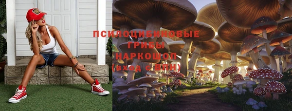 COCAINE Гусиноозёрск