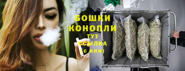 хмурый Гусев