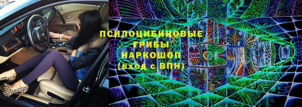 хмурый Гусев