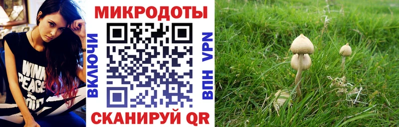 Галлюциногенные грибы ЛСД закладки Пятигорск